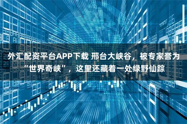 外汇配资平台APP下载 邢台大峡谷，被专家誉为“世界奇峡”，这里还藏着一处绿野仙踪