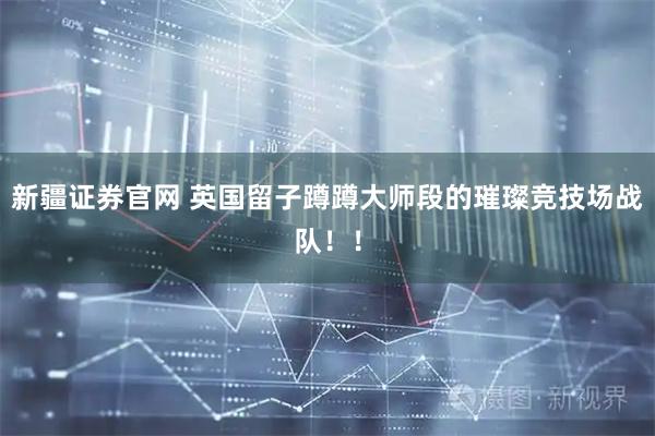 新疆证券官网 英国留子蹲蹲大师段的璀璨竞技场战队！！