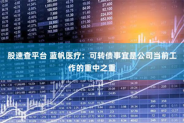 股速查平台 蓝帆医疗：可转债事宜是公司当前工作的重中之重