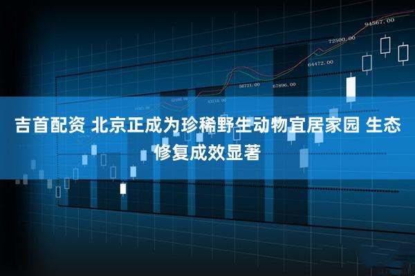 吉首配资 北京正成为珍稀野生动物宜居家园 生态修复成效显著
